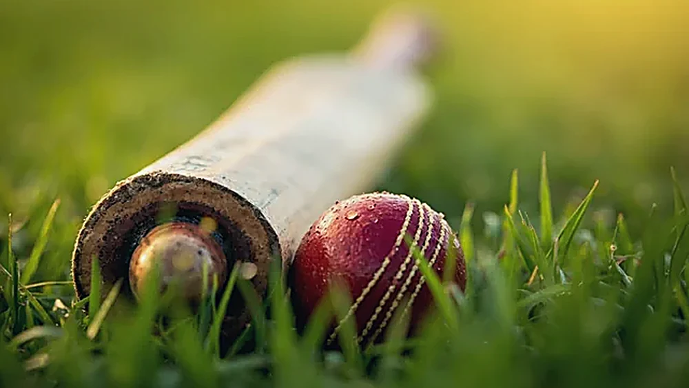 Rain delay and DLS revision impact on India fantasy contests